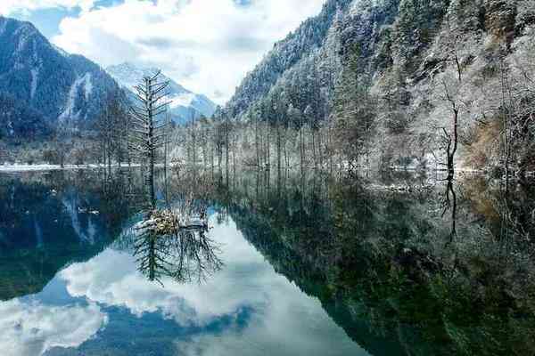 成都附近2小时，西南最大的雪山花海观赏地！