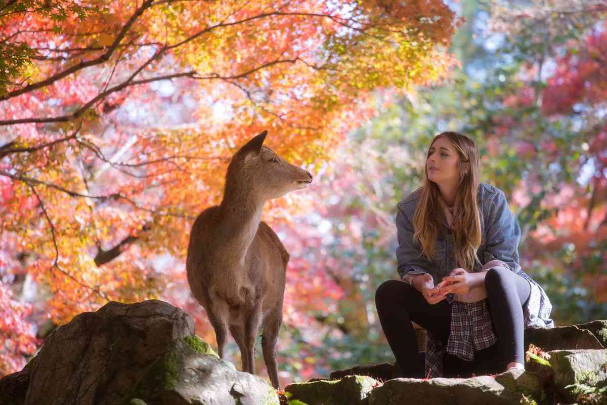 日本旅游攻略，去这些景点一次玩转日本